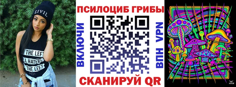 Галлюциногенные грибы Psilocybe  Елизово 