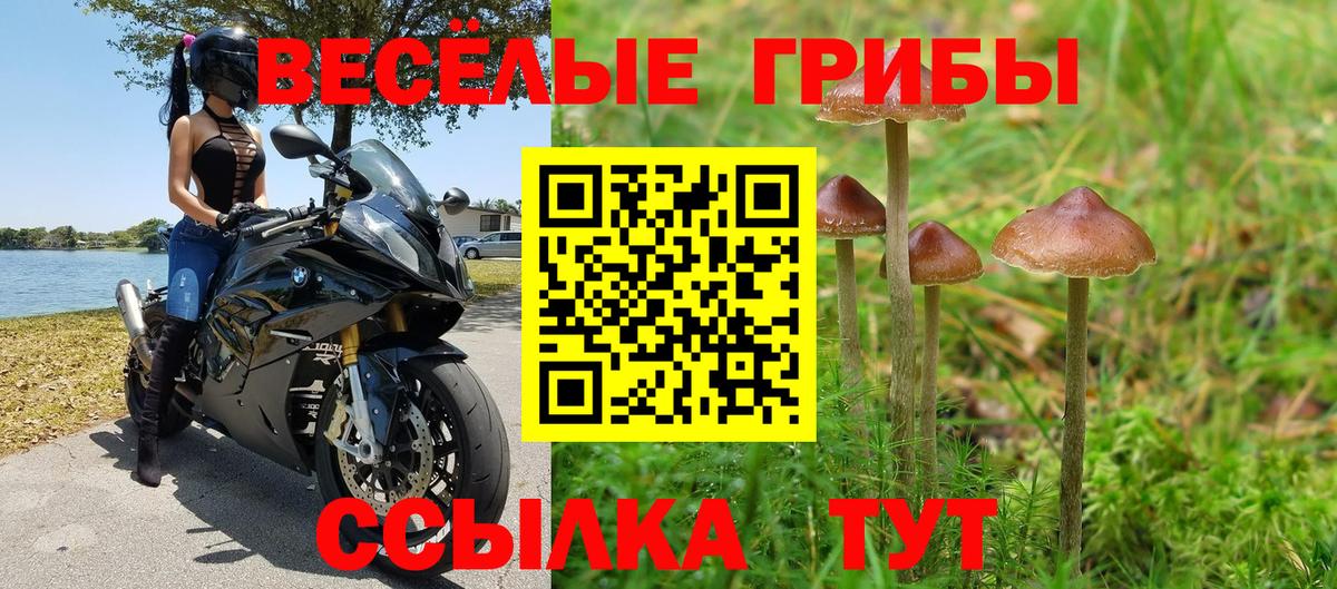 МЕФ   APVP СОЛЬ кристаллы  Наркошоп  Вход с VPN  Конопля  Героин  Елизово  COCAIN  ГАШ  Гашиш 