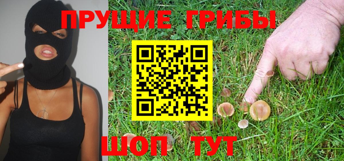 Галлюциногенные грибы прущие грибы  Елизово  Псилоцибиновые грибы GOLDEN TEACHER 