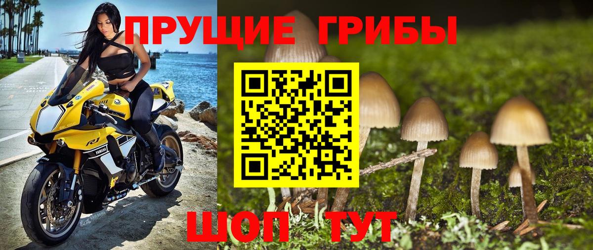 Галлюциногенные грибы MAGIC MUSHROOMS Елизово