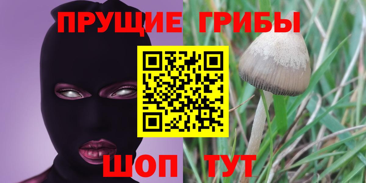 Псилоцибиновые грибы Psilocybine cubensis  Вход с VPN  Елизово  Галлюциногенные грибы Cubensis 