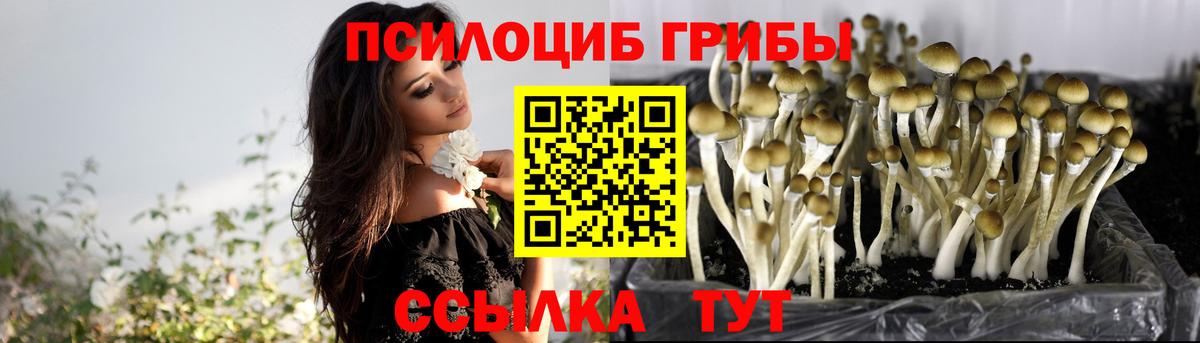 Галлюциногенные грибы GOLDEN TEACHER Елизово